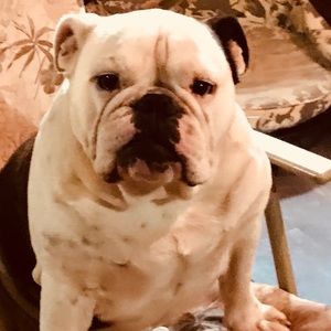 Meet your Posher, Sherri